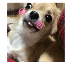 203680965