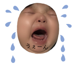 203708159