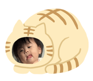 203712081