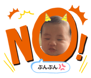 203719595