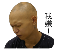 203721537