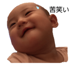 203722474