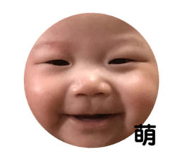 203737324