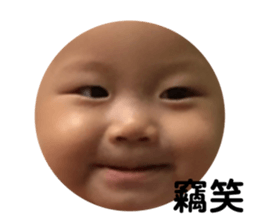 203737329