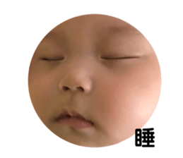 203737330