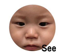 203737334