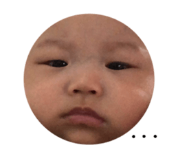203737338