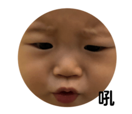 203737342