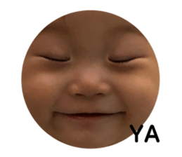 203737346