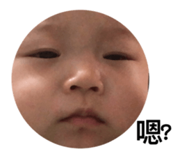 203737356