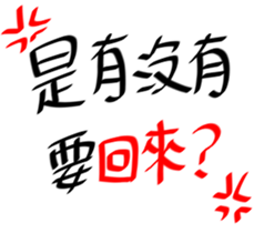 20389748