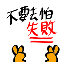 20389753
