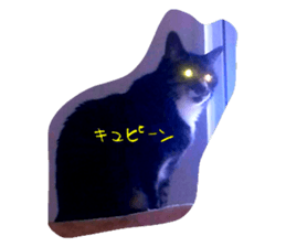 20390128