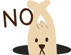 20393771
