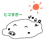204012447