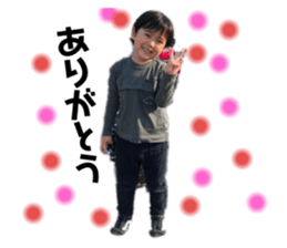 204012681