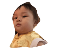 20407148