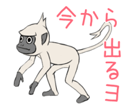 20407480