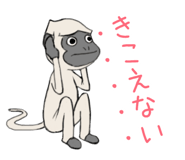 20407490