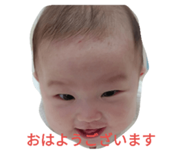 204133306