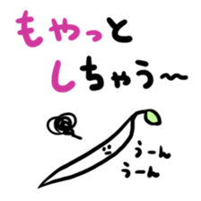 2041626