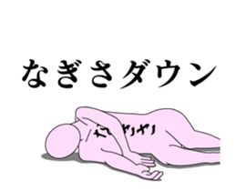 20429677