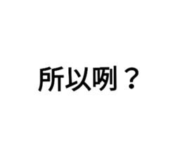 204413306