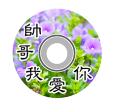 20441672