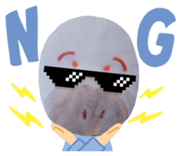204525037