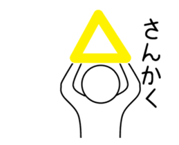 20453329