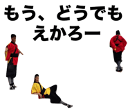 20457712
