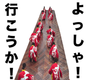 20457724