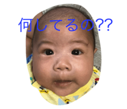 20466352