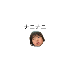 204691241