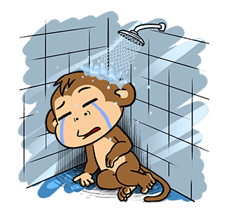 ลายที่ 8