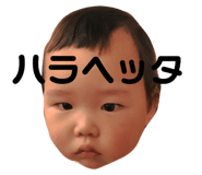 204727442