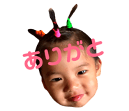 204727444