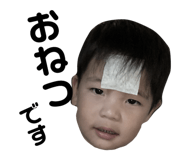 204727456