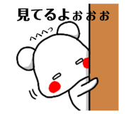 204773641