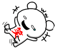 204773645
