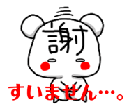 204773646
