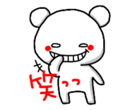 204773650
