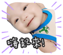 204904560