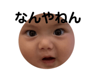 204992633