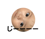 204992636