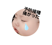 204992639