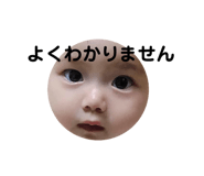 204992643