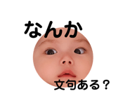 204992646