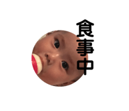 204992649