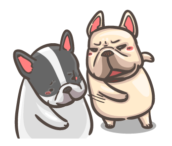 พิกุ - เฟรนช์ บูลด็อก : คู่หูจอมป่วน รูปที่ 13